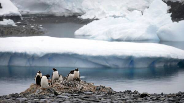 Ανησυχητικό εύρημα: Για πρώτη φορά βρέθηκαν μικροπλαστικά σε φρέσκο χιόνι στην Ανταρκτική