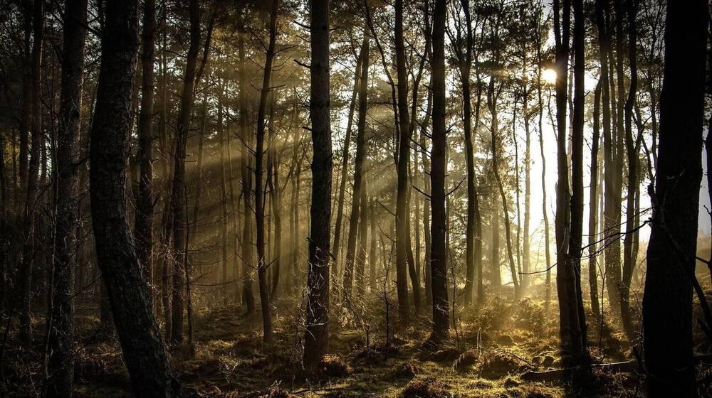 Τα σενάρια για τη Γη μετά το 2050: Τι εκτιμούν οι επιστήμονες