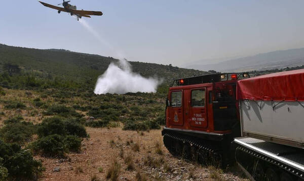 Φωτιά στο Πόρτο Κατσίκι στη Λευκάδα - Επιχειρούν επίγεια και εναέρια μέσα