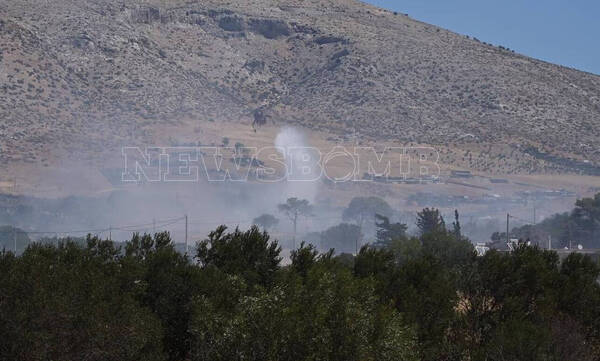 Φωτιά τώρα στη Λαυρεωτική: Μήνυμα από το 112 – Εκκενώστε από Φέριζα προς Λαγονήσι