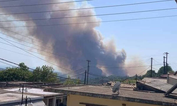 Φωτιά στην Ηλεία: Οι φλόγες απειλούν τα Κρέστενα - Εκκενώνονται χωριά, τρέχουν να σωθούν οι κάτοικοι