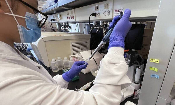 Ευλογιά των πιθήκων: 12 νέα κρούσματα την τελευταία εβδομάδα