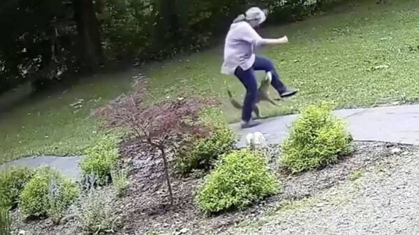 Απίστευτο βίντεο: Λυσσασμένη αλεπού επιτέθηκε σε γυναίκα στη Νέα Υόρκη