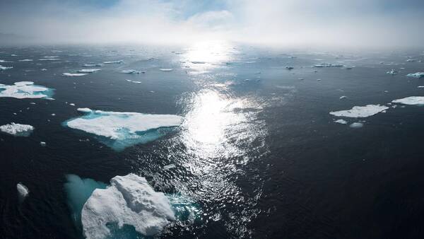 Η κλιματική αλλαγή και οι «αφανείς» συνέπειες στον τομέα της υγείας