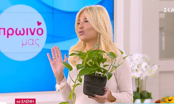 Η Σκορδά ξαπόστειλε φυτό από το πλατό και είχε τον λόγο της