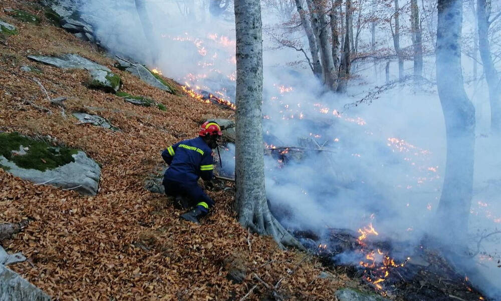 Κομοτηνή: Μεγάλη φωτιά μαίνεται ανεξέλεγκτα σε παρθένο δάσος 11 μέρες