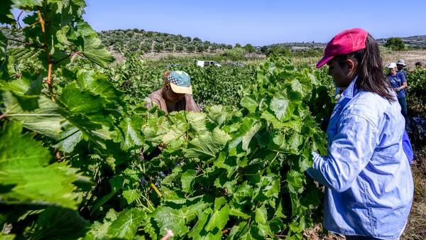 ΕΛΣΤΑΤ: Τι έδειξε η έρευνα για τους μετανάστες και την αγορά εργασίας
