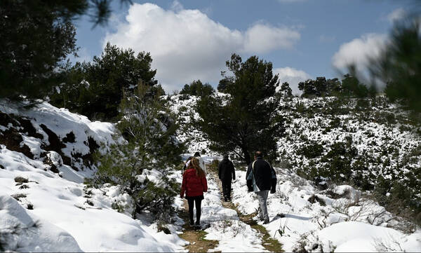 Μερομήνια: Έρχονται «λευκά» Χριστούγεννα-Τι καιρό θα κάνει τις γιορτές