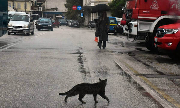 Σάκης Αρναούτογλου: Άνοδος της θερμοκρασίας το Σαββατοκύριακο
