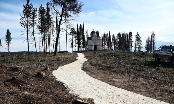 Κηδεία τέως βασιλιά Κωνσταντίνου: Το σχέδιο ασφαλείας της ΕΛ.ΑΣ. – 2.000 αστυνομικοί και drones