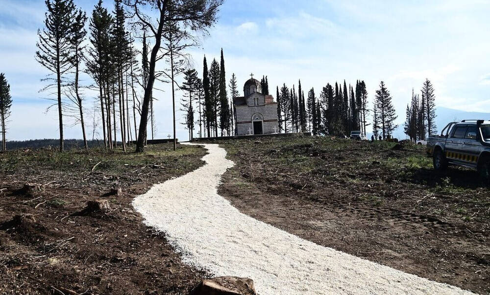 Κηδεία τέως βασιλιά Κωνσταντίνου: Τι αποφασίστηκε για τα μέτρα ασφαλείας - «Αστακός» το Τατόι