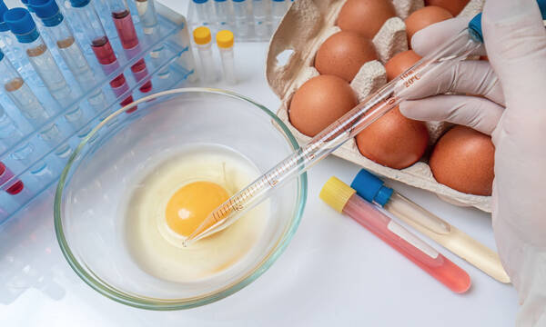 Λοίμωξη από σαλμονέλα: Πώς συνδέεται με τον καρκίνο του παχέος εντέρου