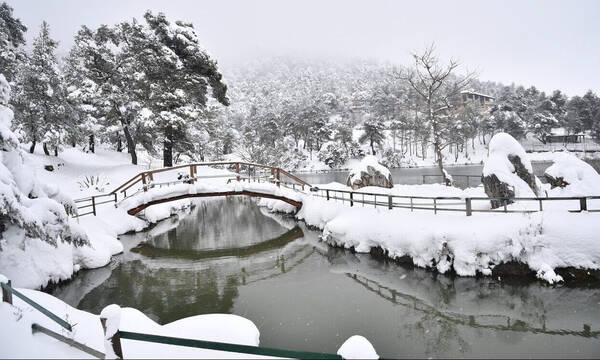 Καιρός: Άνοιξε... κόντρα για το πότε θα πέσουν χιόνια στα πεδινά - «Μην πιστεύετε κανέναν»