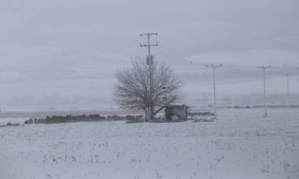 Καιρός: Ο χειμώνας δείχνει τα «δόντια» του – Ραγδαία πτώση του υδράργυρου