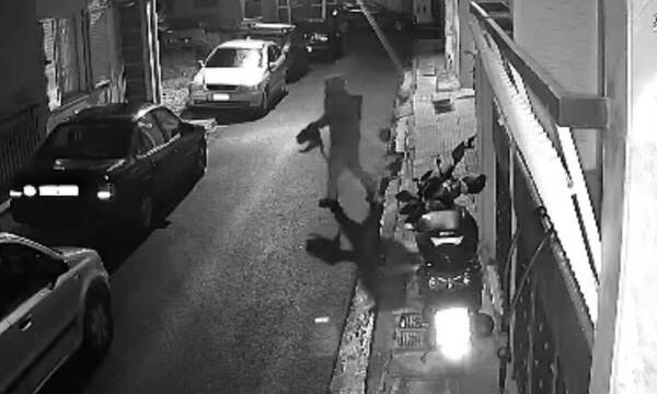 Βοτανικός: Συνελήφθη εγκληματίας που βασάνιζε και σκότωνε αδέσποτες γάτες