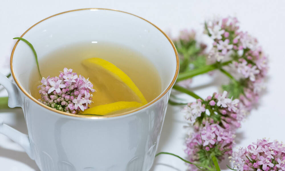 Τα βότανα που βοηθούν να κοιμόμαστε καλύτερα