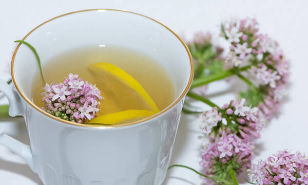 Τα βότανα που βοηθούν να κοιμόμαστε καλύτερα