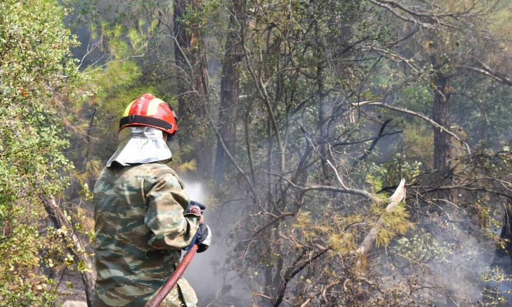Μεγάλη φωτιά στo Κυπαρίσσι Αχαΐας - Σηκώθηκαν εναέρια μέσα