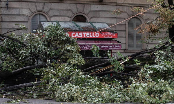 Δέντρο καταπλάκωσε 16χρονη κοπέλα σε κατασκήνωση - Σφοδρή κακοκαιρία πλήττει την Ιταλία