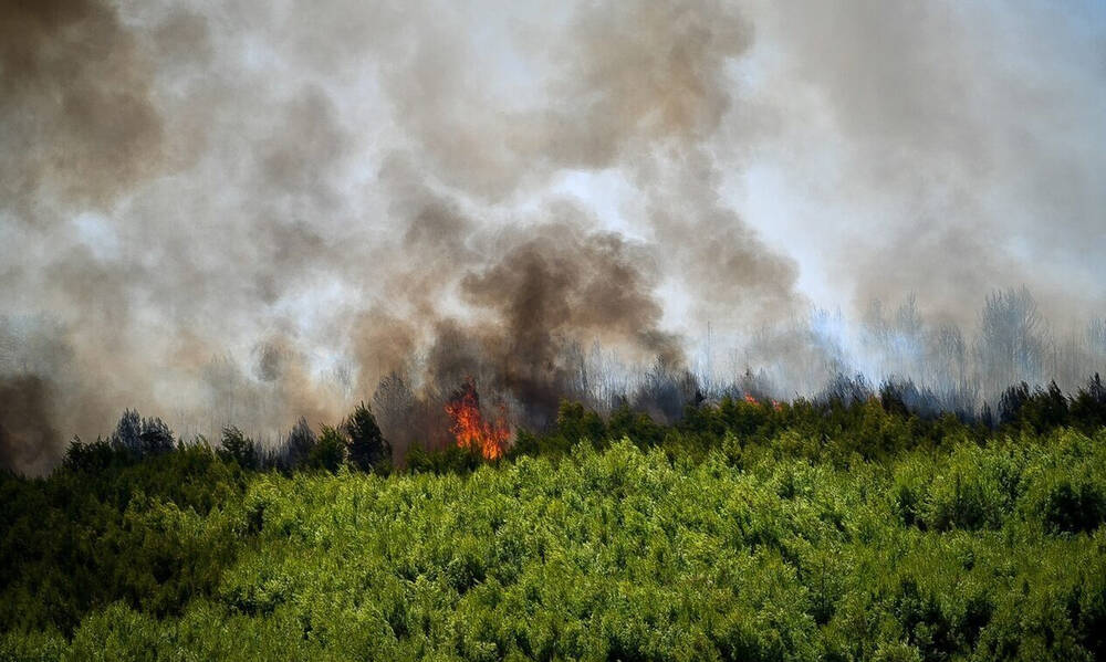 Meteo: Περισσότερα από 1.200.000 στρέμματα έχουν καεί έως τις 23 Αυγούστου