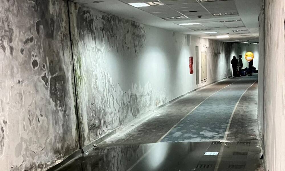 Σοκαριστικές εικόνες στο Καυτανζόγλειο - «Απάνθρωπες και επικίνδυνες συνθήκες με οσμή θανάτου» (vid)