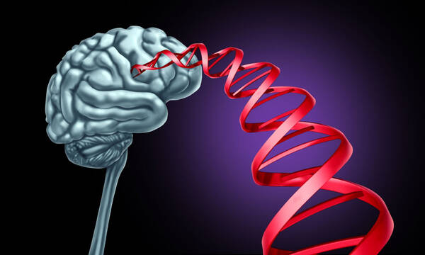 Γονίδιο Αλτσχάιμερ: Πόσο ισχυρό είναι με βάση τη φυλή και το φύλο
