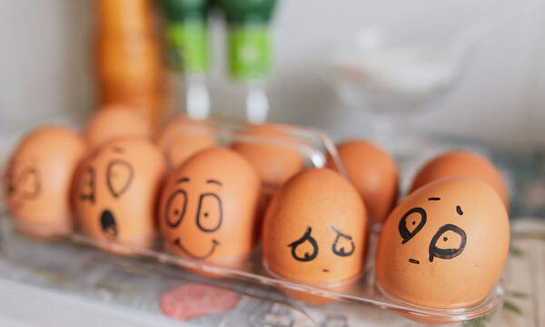 Οι επιστήμονες απάντησαν στο προαιώνιο ερώτημα «η κότα έκανε το αυγό ή το αυγό την κότα»