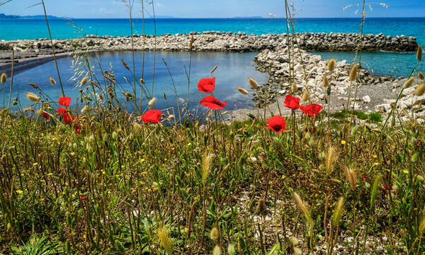 «Έρχεται» το πιο θερμό καλοκαίρι των τελευταίων ετών