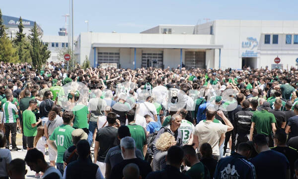 Παναθηναϊκός AKTOR: Εκστασιασμένοι οπαδοί τραγουδούν για τους Πρωταθλητές Ευρώπης (pics+vid)