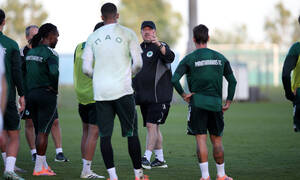 Παναθηναϊκός: Έμφαση στη φυσική κατάσταση από τον Μπενίτεθ στο Κορωπί