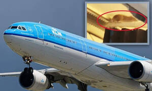 Ποντίκι «τρύπωσε» σε πτήση προς Άμστερνταμ - Εγκλωβίστηκαν στην Αρούμπα οι επιβάτες