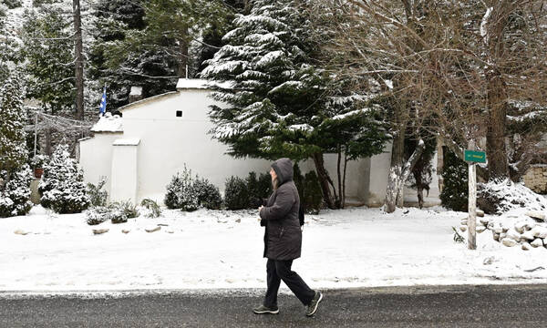 Καιρός - Λαγουβάρδος: Πρωτοχρονιά με επέλαση ψύχους - Προειδοποίηση για 4 περιοχές
