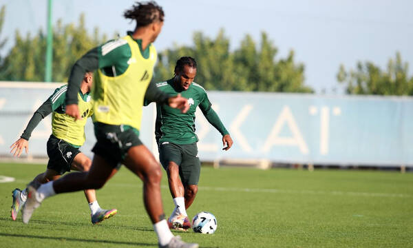 Παναθηναϊκός: Πρόβλημα με Πάλμερ – Μπράουν