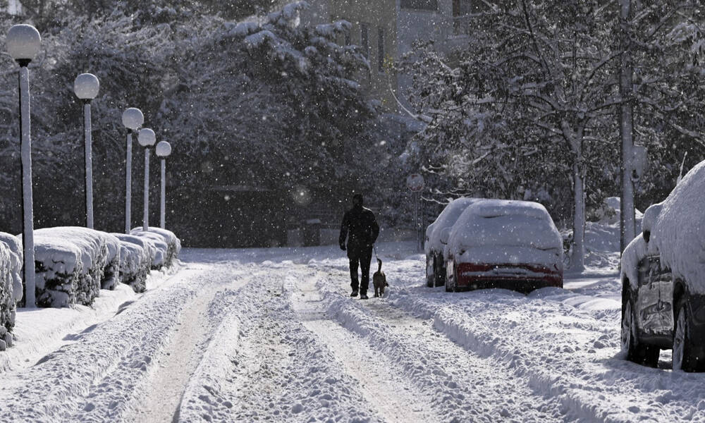 Καιρός - Τσατραφύλλιας: Πολικές θερμοκρασίες μέχρι την Τετάρτη - Πότε έρχεται νέα ψυχρή εισβολή
