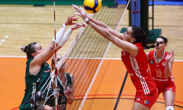 Ολυμπιακός – Παναθηναϊκός: Ντέρμπι «αιωνίων» στη Volley League γυναικών – Η ώρα και το κανάλι