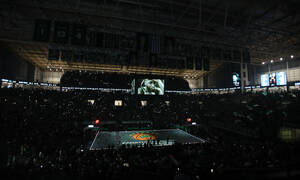 Παναθηναϊκή «τρέλα»: Θέμα ωρών το sold out στα διαρκείας για το 2026-27!