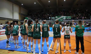 Παναθηναϊκός: Sold out ο αγώνας τίτλου με τον ΖΑΟΝ