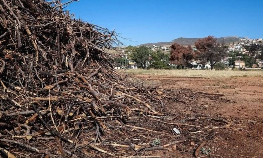 Ακαθάριστα οικόπεδα: Νέοι κανόνες και πρόστιμα – Τι αλλάζει με τον νόμο για την πυροπροστασία