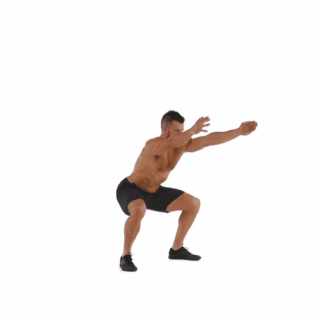 bodyweightsquat-1457041691.gif